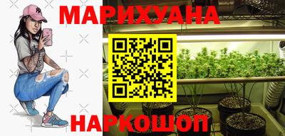 Альфа ПВП Бийск
