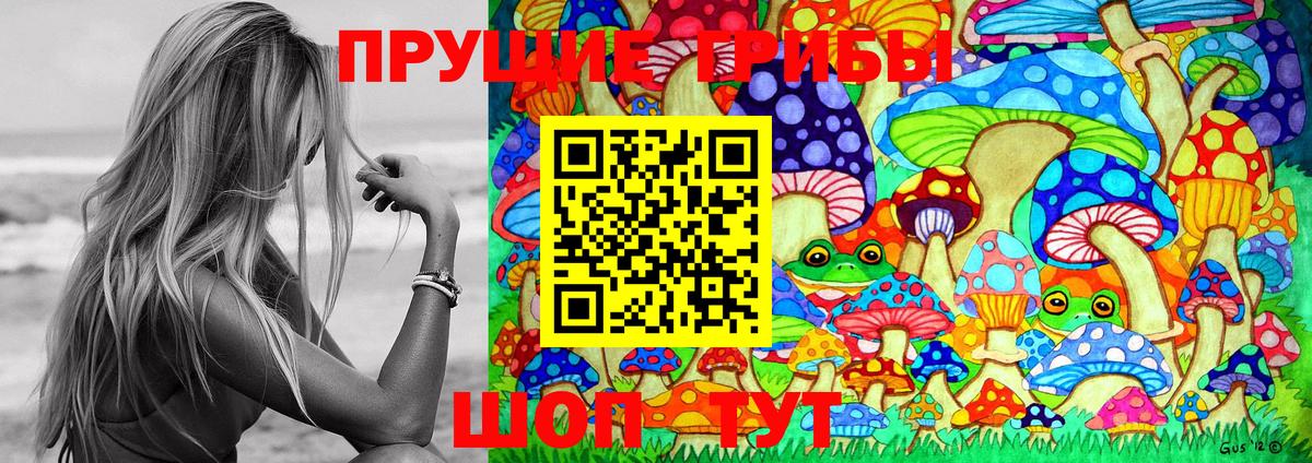 Галлюциногенные грибы Psilocybine cubensis Кольчугино